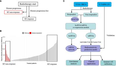 An 11-Gene Signature Based on Treatment Responsiveness Predicts Radiation Therapy Survival Benefit Among Breast Cancer Patients